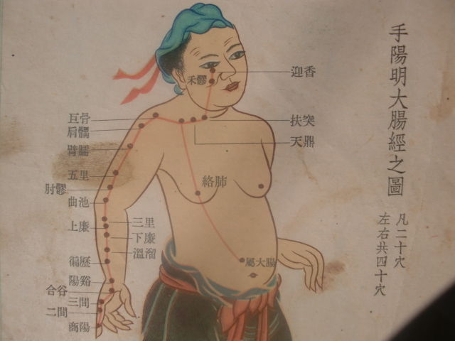 手阳明大肠经穴位