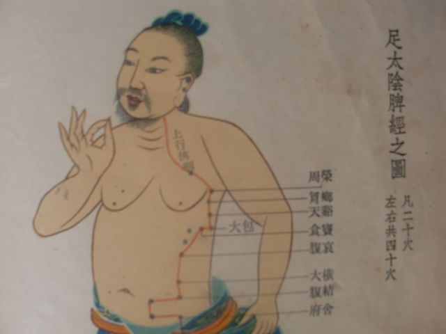 足太阴脾经穴位