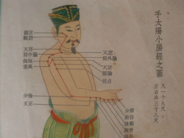 手太阳小肠经穴位
