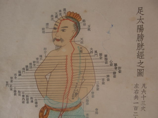 足太阳膀胱经穴位一