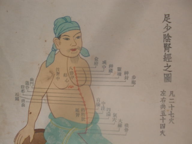 足少阴肾经穴位
