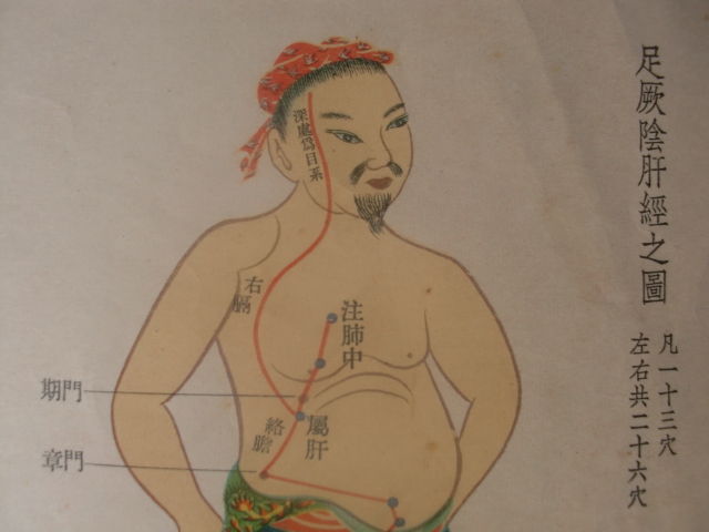 足厥阴肝经穴位