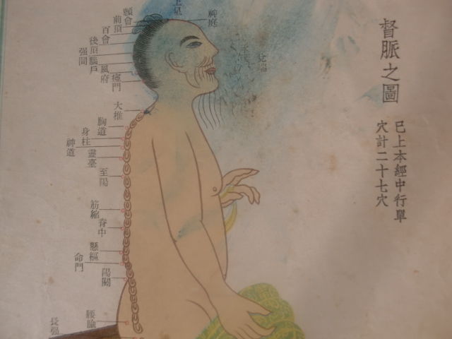 督脉穴位