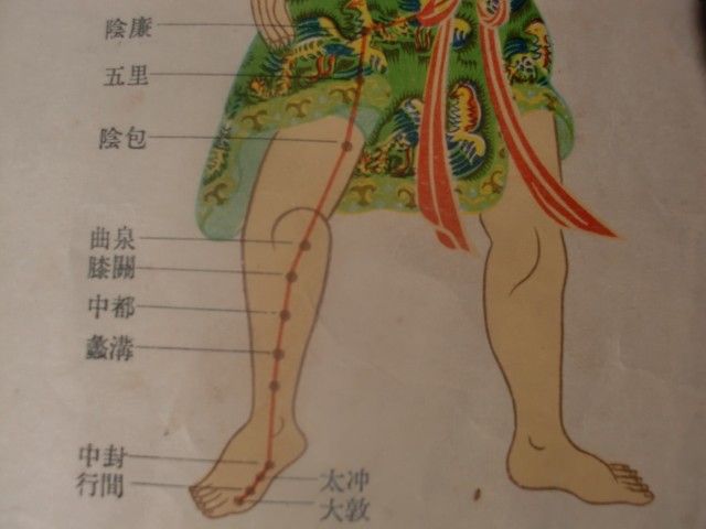 针灸穴位图