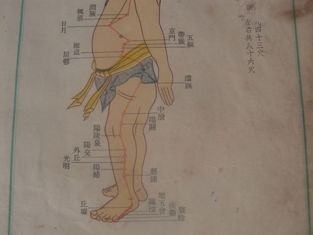 八会穴