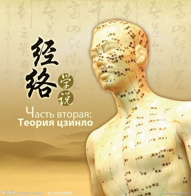 经络知识