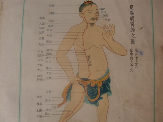常用穴位